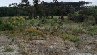 Land for sale in Cantanhede, Portugal — €10,000