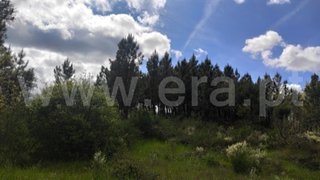 Land for sale in Fundão, Portugal — €43,500