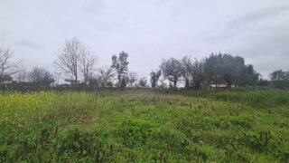 Land for sale in Vila Nova de Poiares, Portugal — €17,500