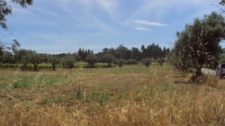 Land for sale in Cantanhede, Portugal — €37,000