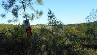 Land for sale in Vila Velha de Ródão, Portugal — €7,650