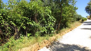 Land for sale in Abrantes, Portugal — €20,000