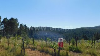 Land for sale in Fundão, Portugal — €50,000