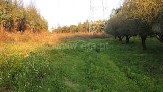 Land for sale in Rio Maior, Portugal — €49,000