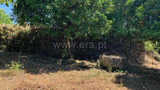 Land for sale in Proença-a-Nova, Portugal — €72,500