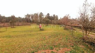Land for sale in Fornos de Algodres, Portugal — €21,500