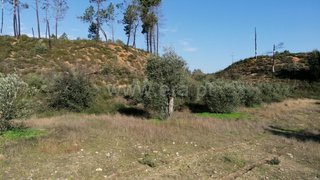 Land for sale in Mação, Portugal — €17,500