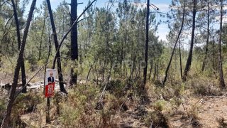 Land for sale in Vila Velha de Ródão, Portugal — €9,000