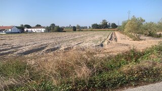 Land for sale in Salvaterra de Magos, Portugal — €115,000