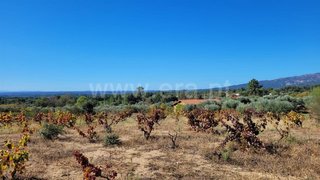 Land for sale in Fundão, Portugal — €27,500