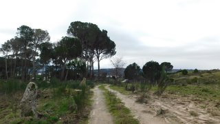 Land for sale in Gouveia, Portugal — €10,000