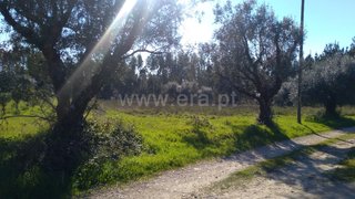 Land for sale in Cantanhede, Portugal — €60,000