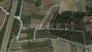 Land for sale in Cantanhede, Portugal — €31,000