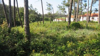Land for sale in Rio Maior, Portugal — €77,500