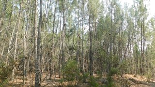 Land for sale in Covilhã, Portugal — €11,900
