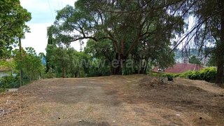 Land for sale in Abrantes, Portugal — €145,000