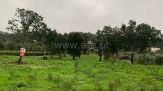 Land for sale in Sertã, Portugal — €27,000
