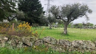 Land for sale in Castelo Branco, Portugal — €28,600