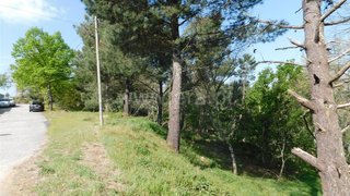 Terreno em Seia