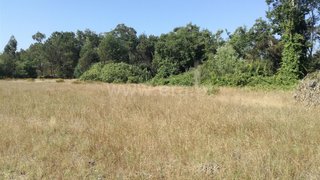Land for sale in Cantanhede, Portugal — €28,500