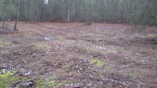 Land for sale in Cantanhede, Portugal — €25,000
