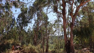 Land for sale in Ourém, Portugal — €8,000