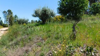 Land for sale in Fundão, Portugal — €37,500