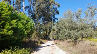 Land for sale in Figueira da Foz, Portugal — €12,000