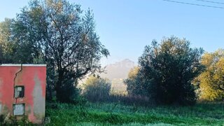 Terreno de 6520 m² em Santarém