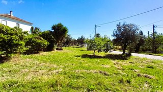 Land for sale in Tomar, Portugal — €50,000