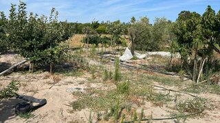 Land for sale in Salvaterra de Magos, Portugal — €128,000