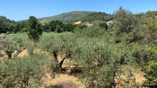 Land for sale in Fundão, Portugal — €8,000