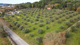 Land for sale in Ourém, Portugal — €119,000