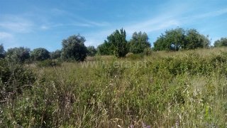 Land for sale in Torres Novas, Portugal — €6,000