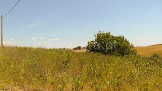 Terreno de 4720 m² em Santarém