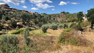 Land for sale in Proença-a-Nova, Portugal — €15,500