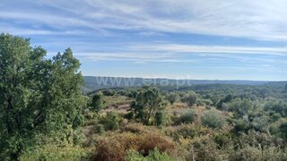 Land for sale in Mação, Portugal — €11,000