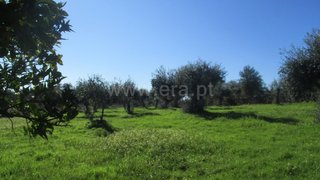 Land for sale in Penamacor, Portugal — €8,500