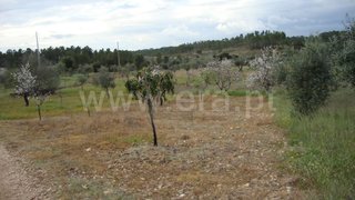 Land for sale in Castelo Branco, Portugal — €10,000