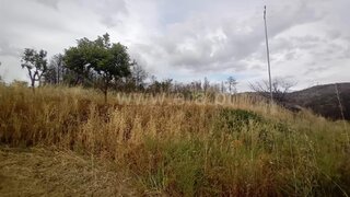 Land for sale in Trancoso, Portugal