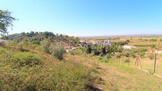 Terreno em Chamusca