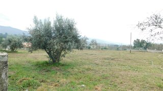 Terreno em Celorico da Beira