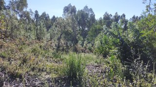 Land for sale in Figueira da Foz, Portugal — €20,000