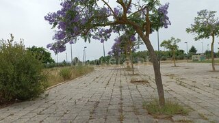 Land for sale in Entroncamento, Portugal — €235,000