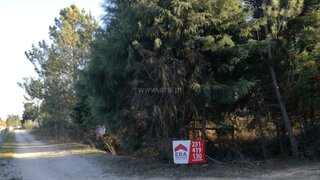 Land for sale in Cantanhede, Portugal — €350,000