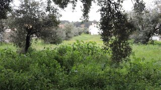 Land for sale in Abrantes, Portugal — €42,000