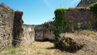 Land for sale in Tomar, Portugal — €50,000