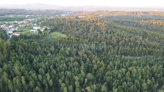 Land for sale in Ourém, Portugal — €39,000