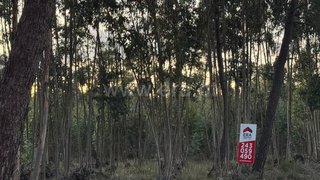 Land for sale in Alpiarça, Portugal — €32,500