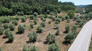 Land for sale in Ourém, Portugal — €25,000